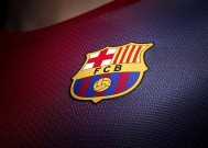 平台使用技巧中米兰官网的表现全面解析（干货）