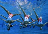 关于milan米兰的平台体验分享真实评测