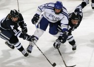 使用米兰·(milan)中国官方网站是一种怎样的体验