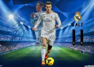 关于米兰·(milan)中国官方网站的平台使用说明深度分析