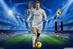 关于米兰·(milan)中国官方网站的平台使用说明深度分析