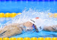 如何使用米兰官网真实评测